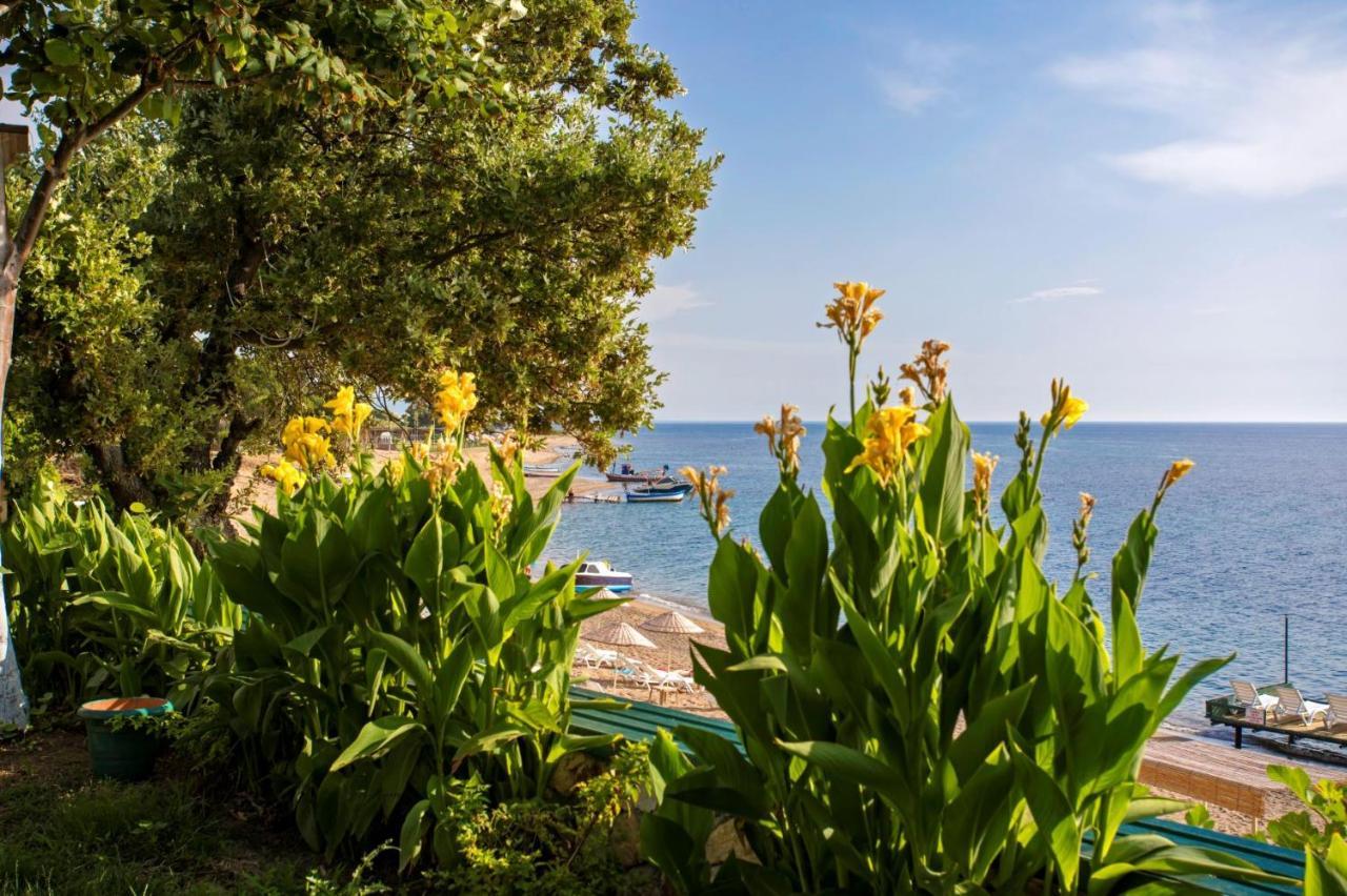 Troas Beach Hotel Tavaklı Zewnętrze zdjęcie